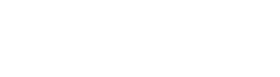 VF Premium Stores — Hungry for Excellence